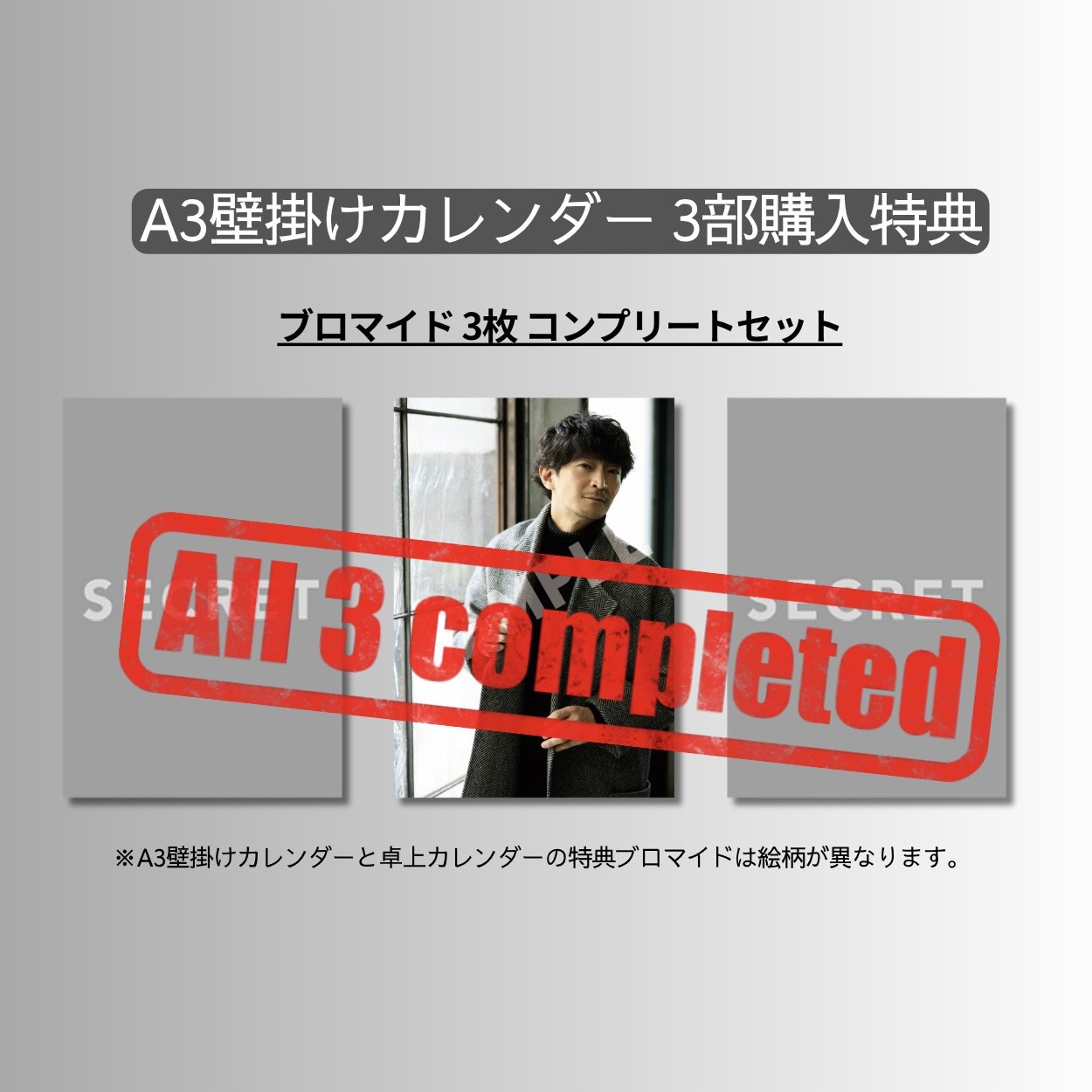 A3壁掛けカレンダー単品（+壁掛け用特典ランダムブロマイド）